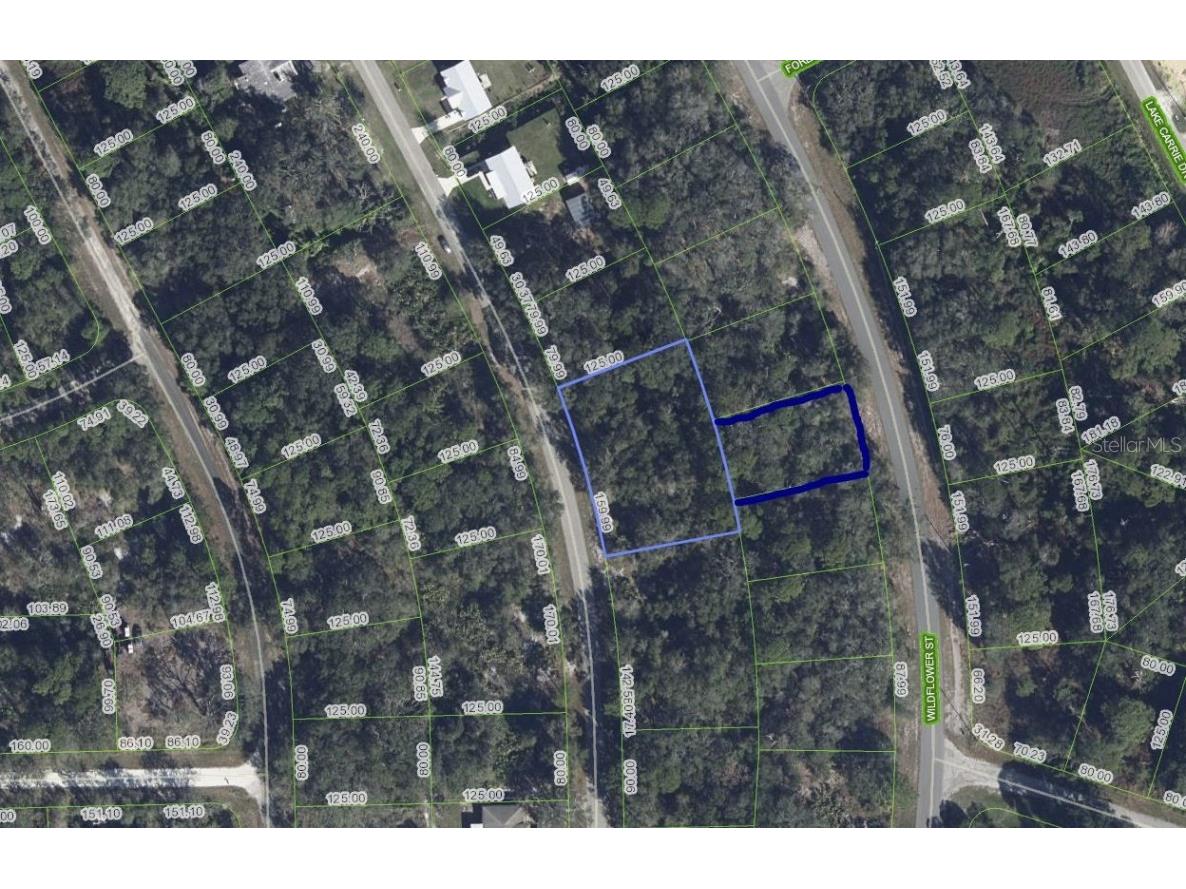 1012 Wildflower Street Lake Placid FL 33852 OK225317 image3
