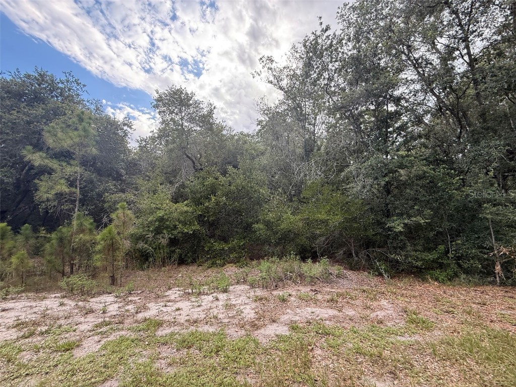 1012 Wildflower Street Lake Placid FL 33852 OK225317 image4