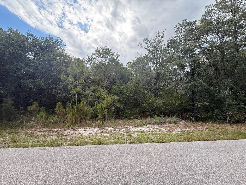 1012 Wildflower Street Lake Placid FL 33852 OK225317 image6