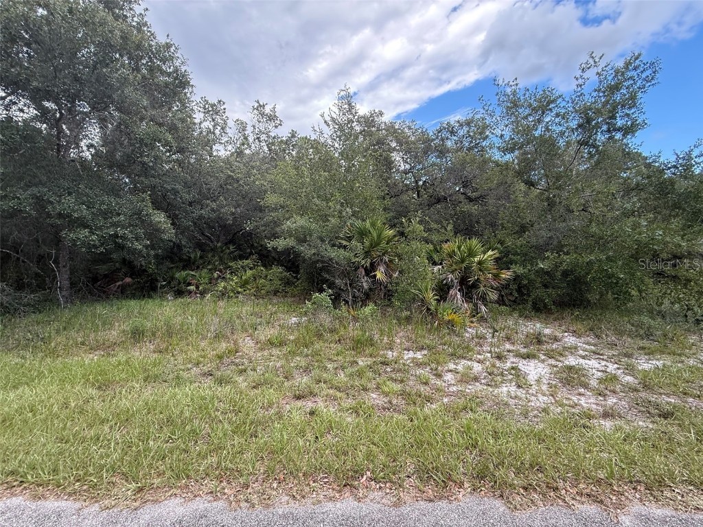 1012 Wildflower Street Lake Placid FL 33852 OK225317 image8