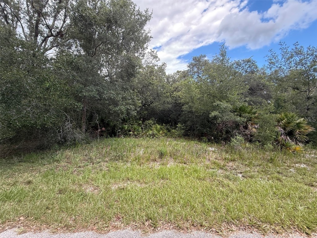 1012 Wildflower Street Lake Placid FL 33852 OK225317 image9