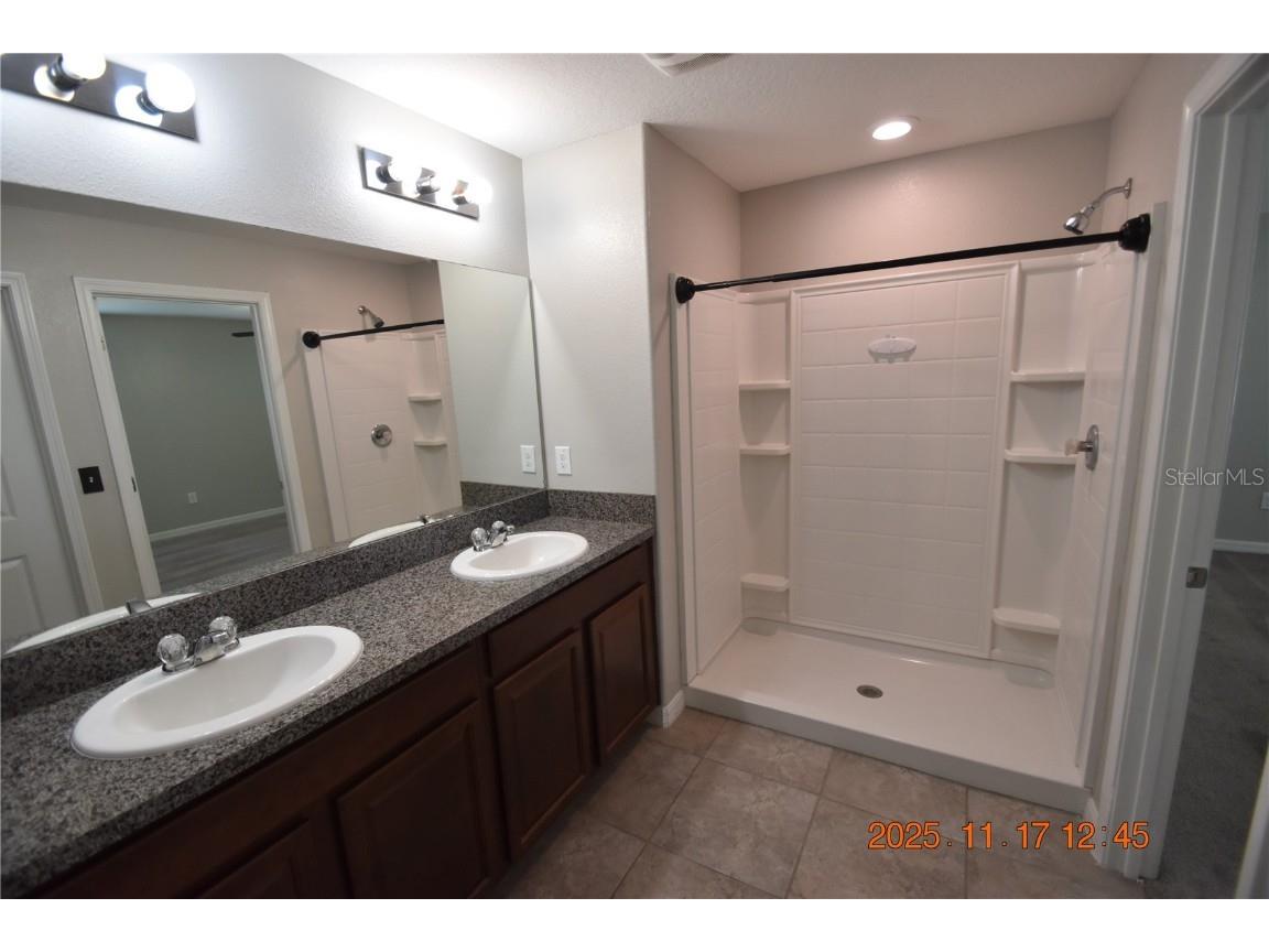 10120 Carloway Hills Drive Wimauma FL 33598 TB8450213 image22