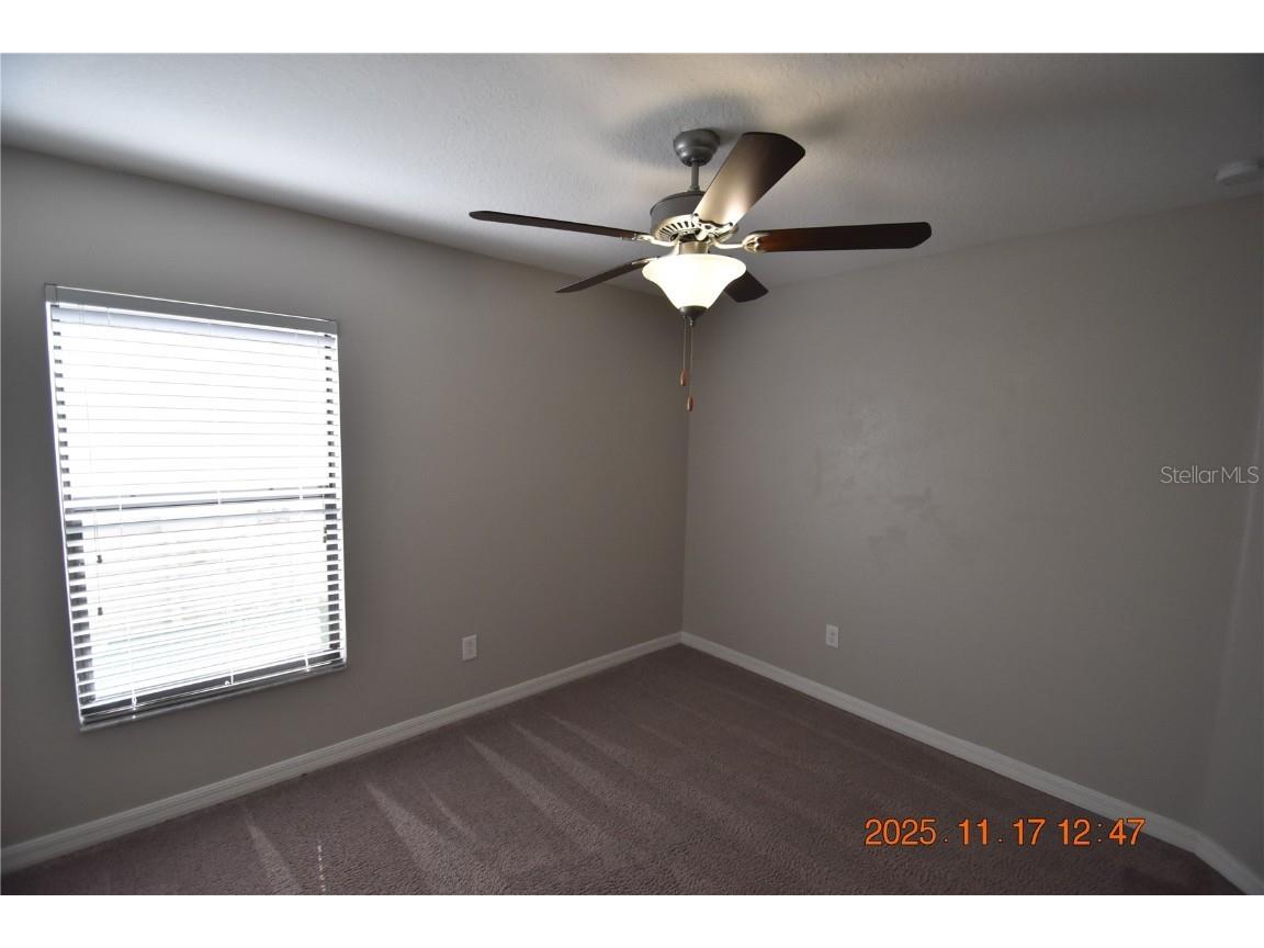 10120 Carloway Hills Drive Wimauma FL 33598 TB8450213 image28