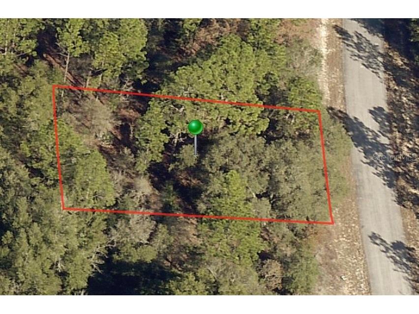 10120 N Sabre Drive Citrus Springs FL 34434 A4561454 image1