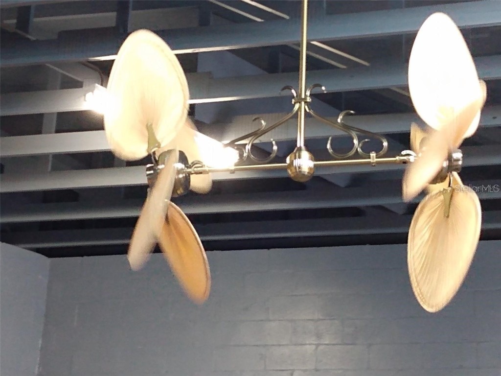 10120 Ridgeway Drive Port Richey FL 34668 TB8337216 image18