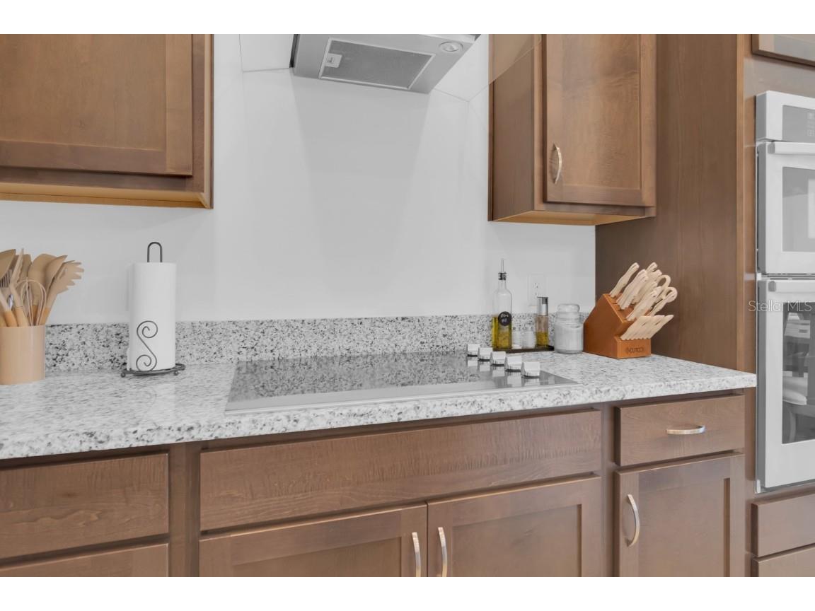 10120 Sunnifa Alley Orlando FL 32832 O6322785 image15