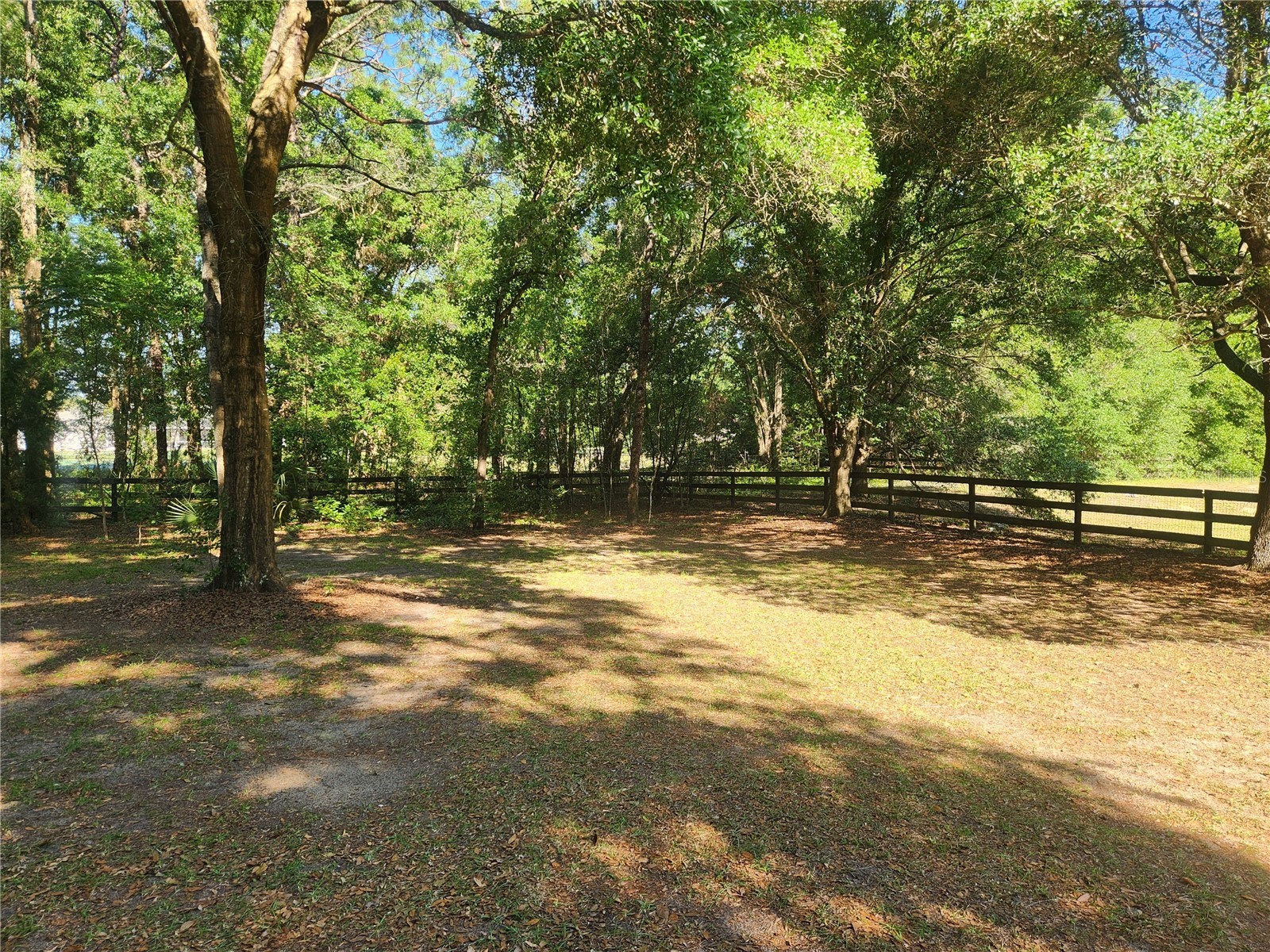 10120 SW 65th Terrace Ocala FL 34476 OM724808 image13