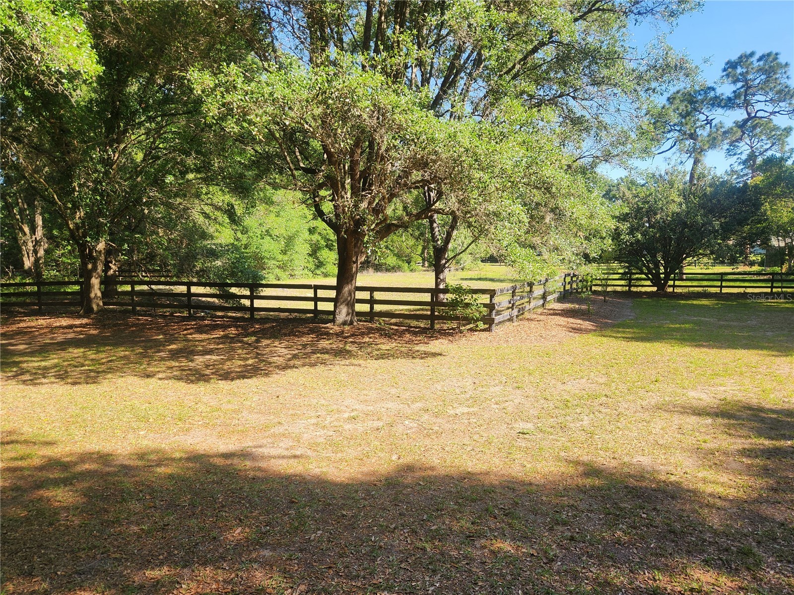 10120 SW 65th Terrace Ocala FL 34476 OM724808 image14
