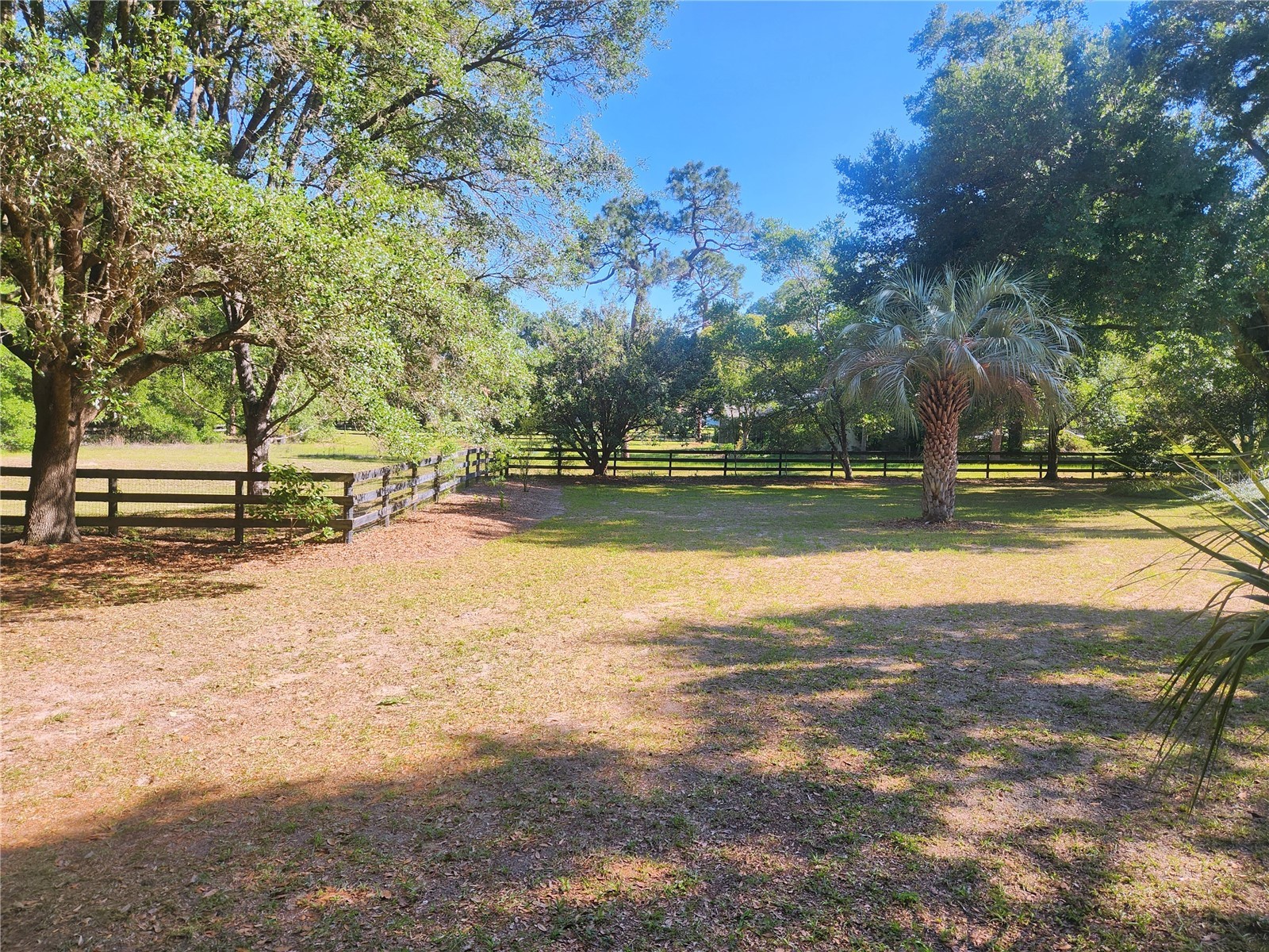 10120 SW 65th Terrace Ocala FL 34476 OM724808 image15