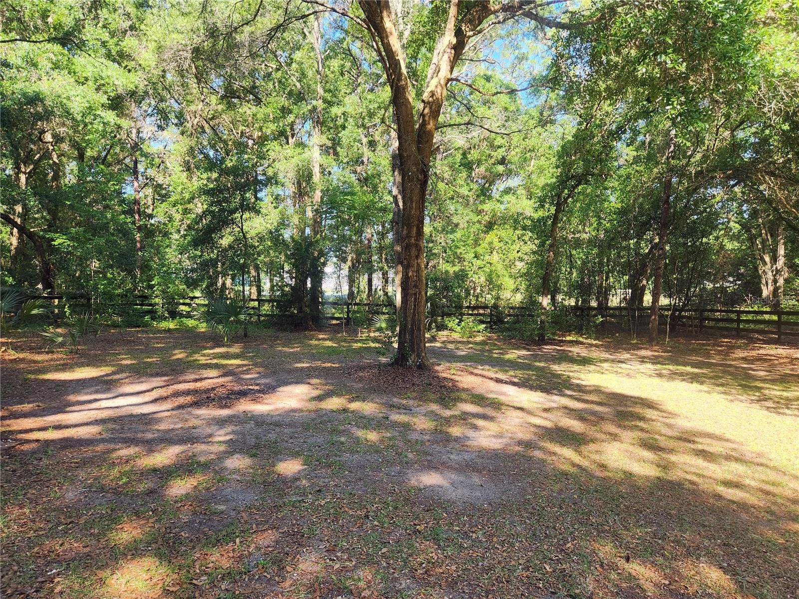 10120 SW 65th Terrace Ocala FL 34476 OM724808 image16