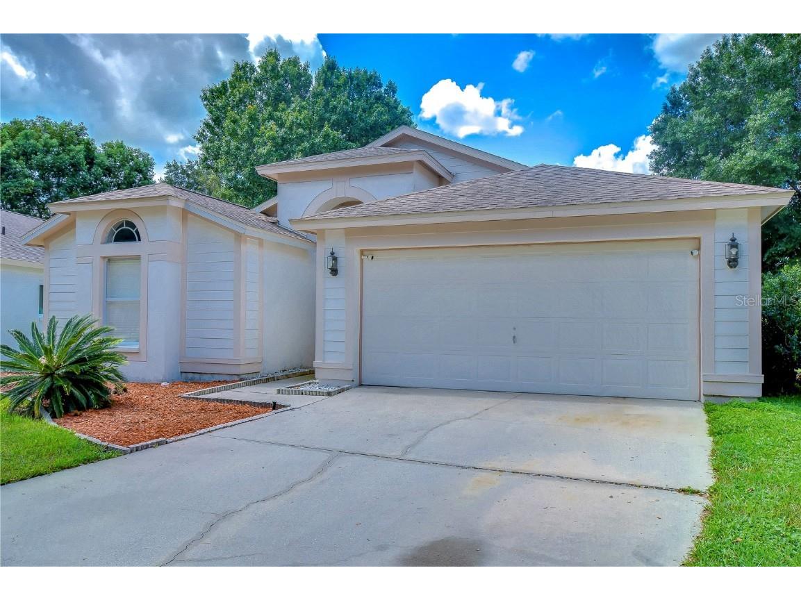 10121 Heather Sound Drive Tampa FL 33647 T3550285 image1