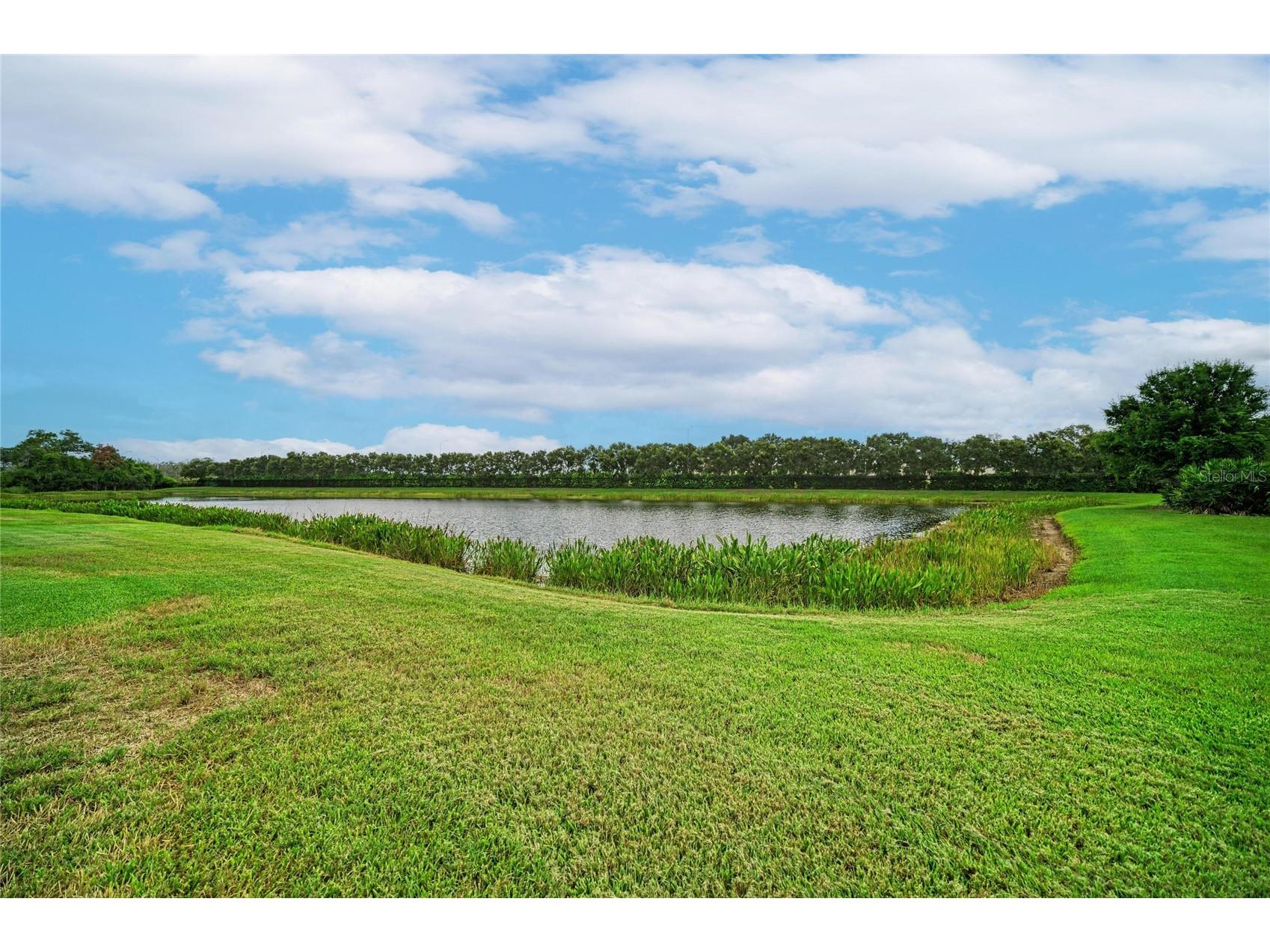 10121 Marbella Drive Bradenton FL 34211 A4699102 image52