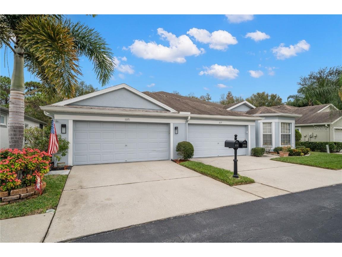 10121 Mowry Lane Tampa FL 33625 U8225918 image1