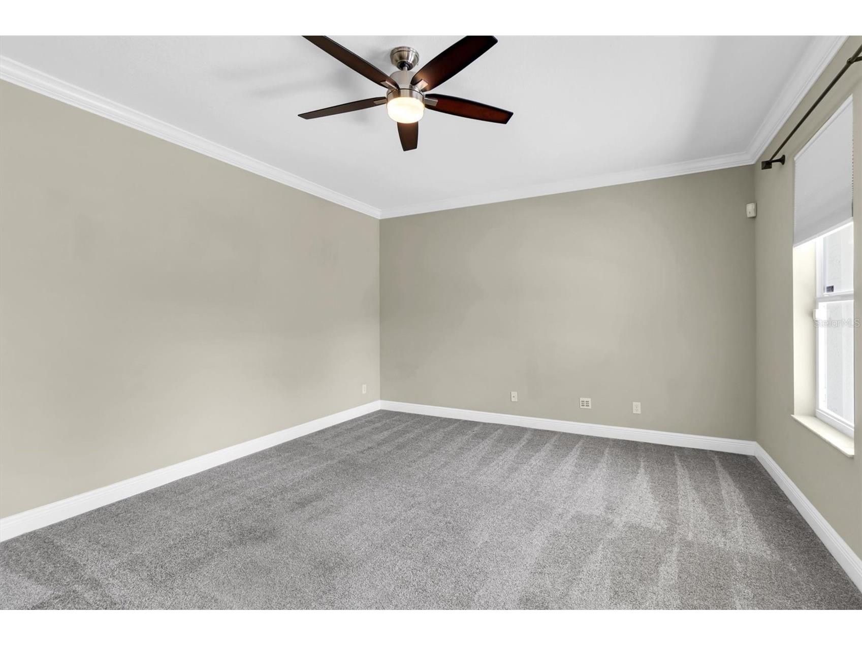 10121 Porch Street New Port Richey FL 34655 W7886550 image17
