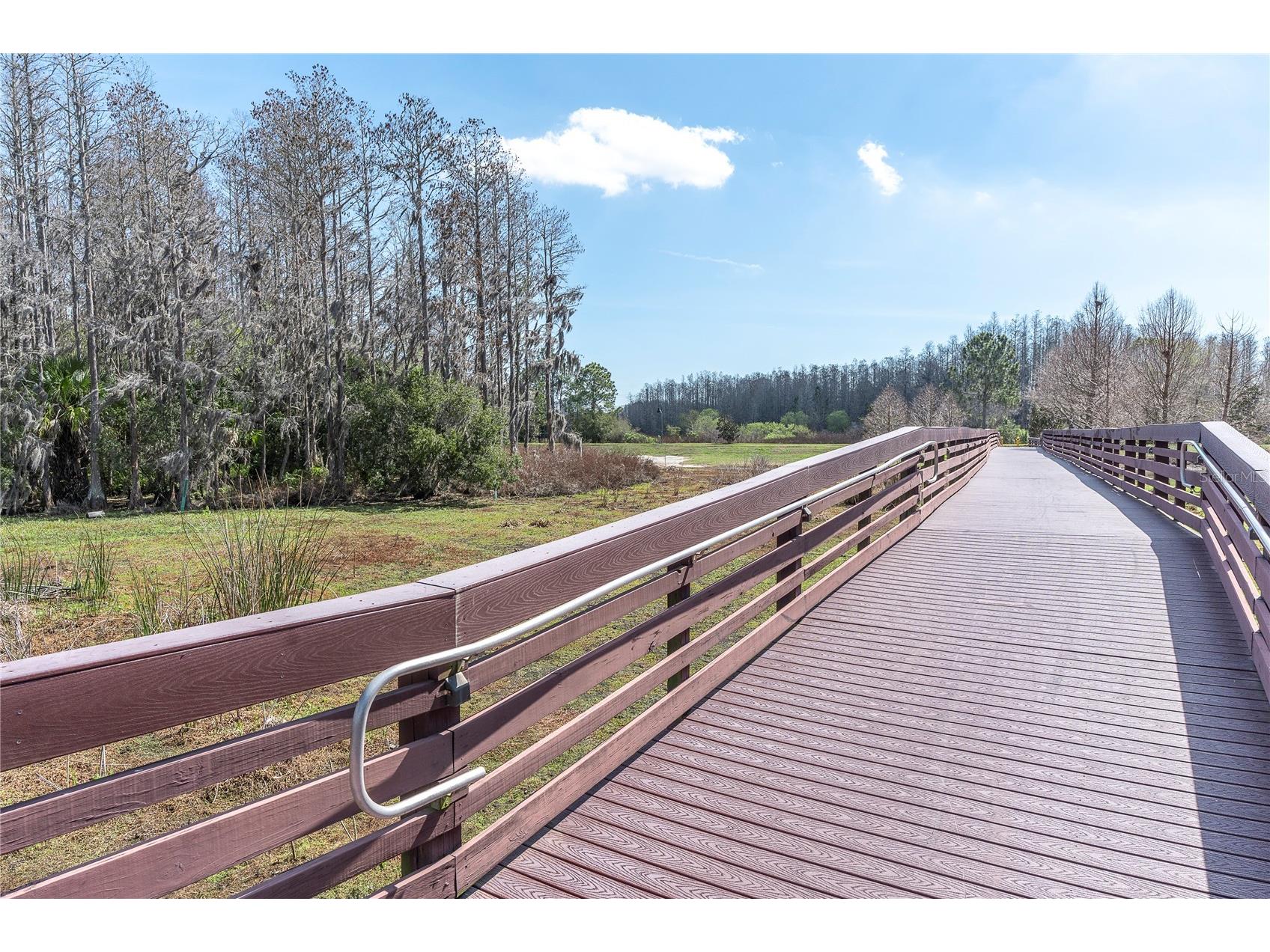 10121 Porch Street New Port Richey FL 34655 W7886550 image53