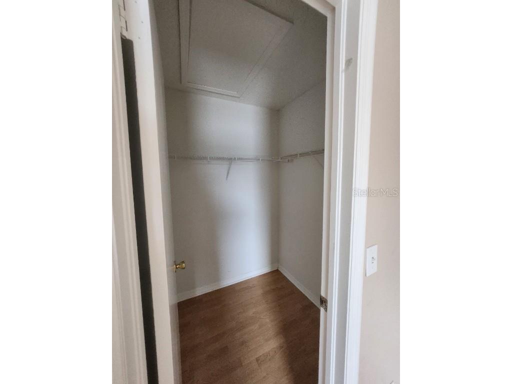 10121 Sea Spray Place Tampa FL 33624 TB8452923 image25