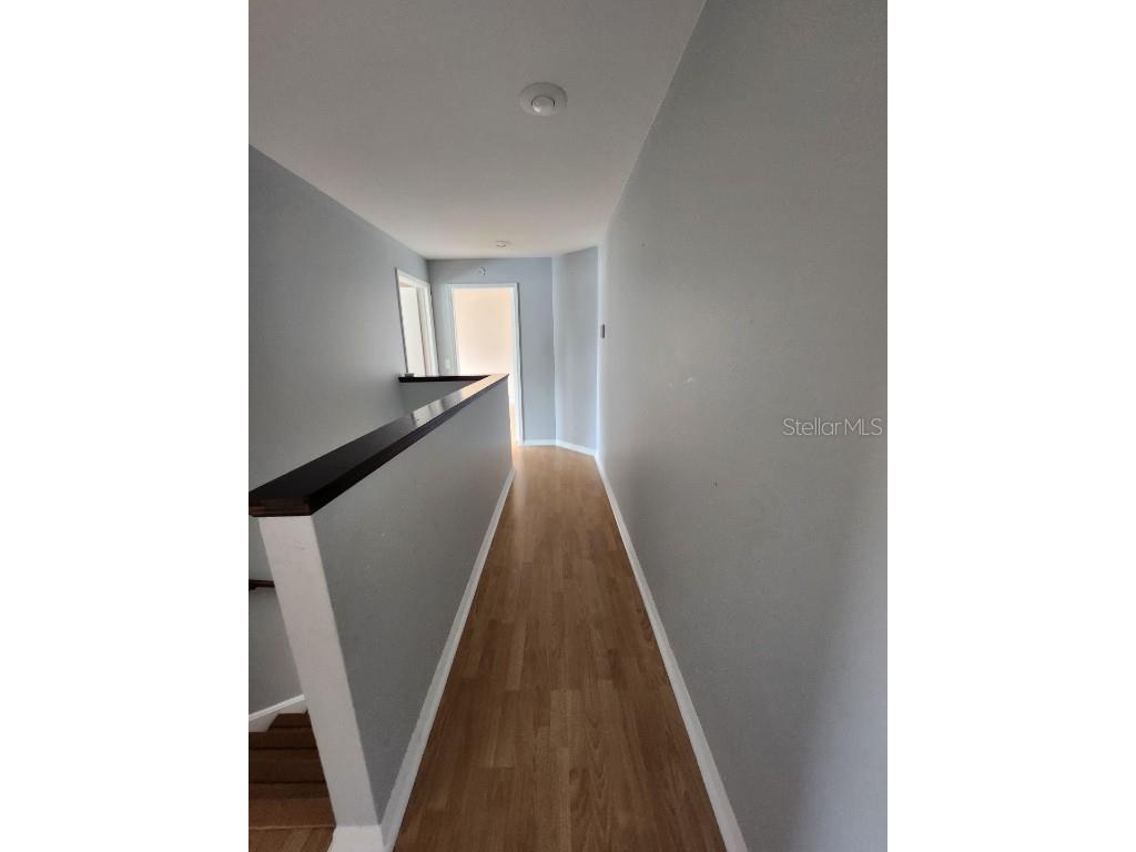 10121 Sea Spray Place Tampa FL 33624 TB8452923 image31