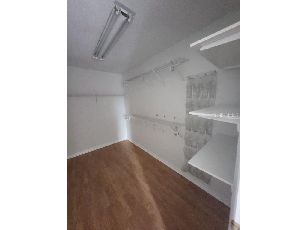 10121 Sea Spray Place Tampa FL 33624 TB8452923 image47