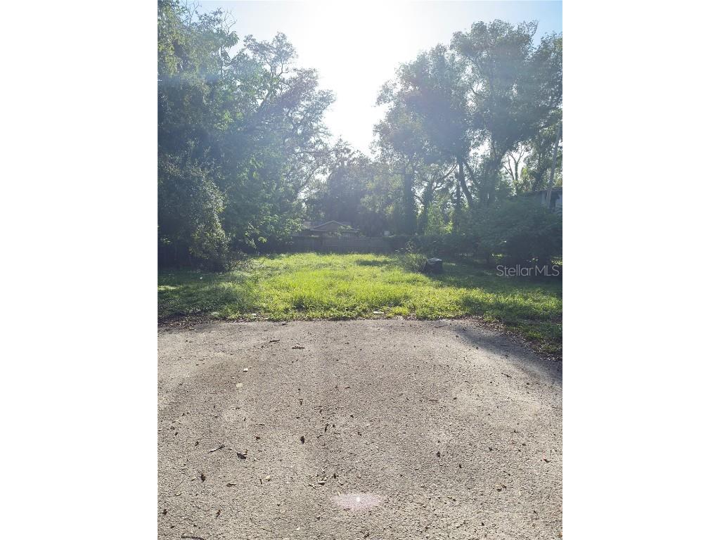 10122 N 11th Street Tampa FL 33612 TB8413623 image1