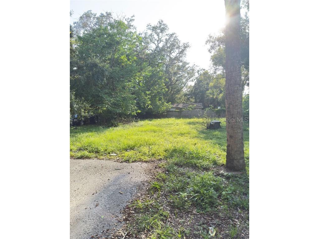 10122 N 11th Street Tampa FL 33612 TB8413623 image3