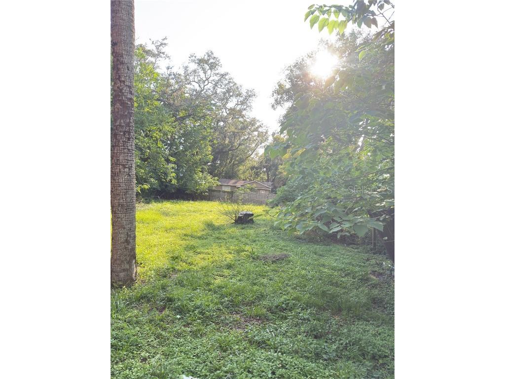10122 N 11th Street Tampa FL 33612 TB8413623 image4