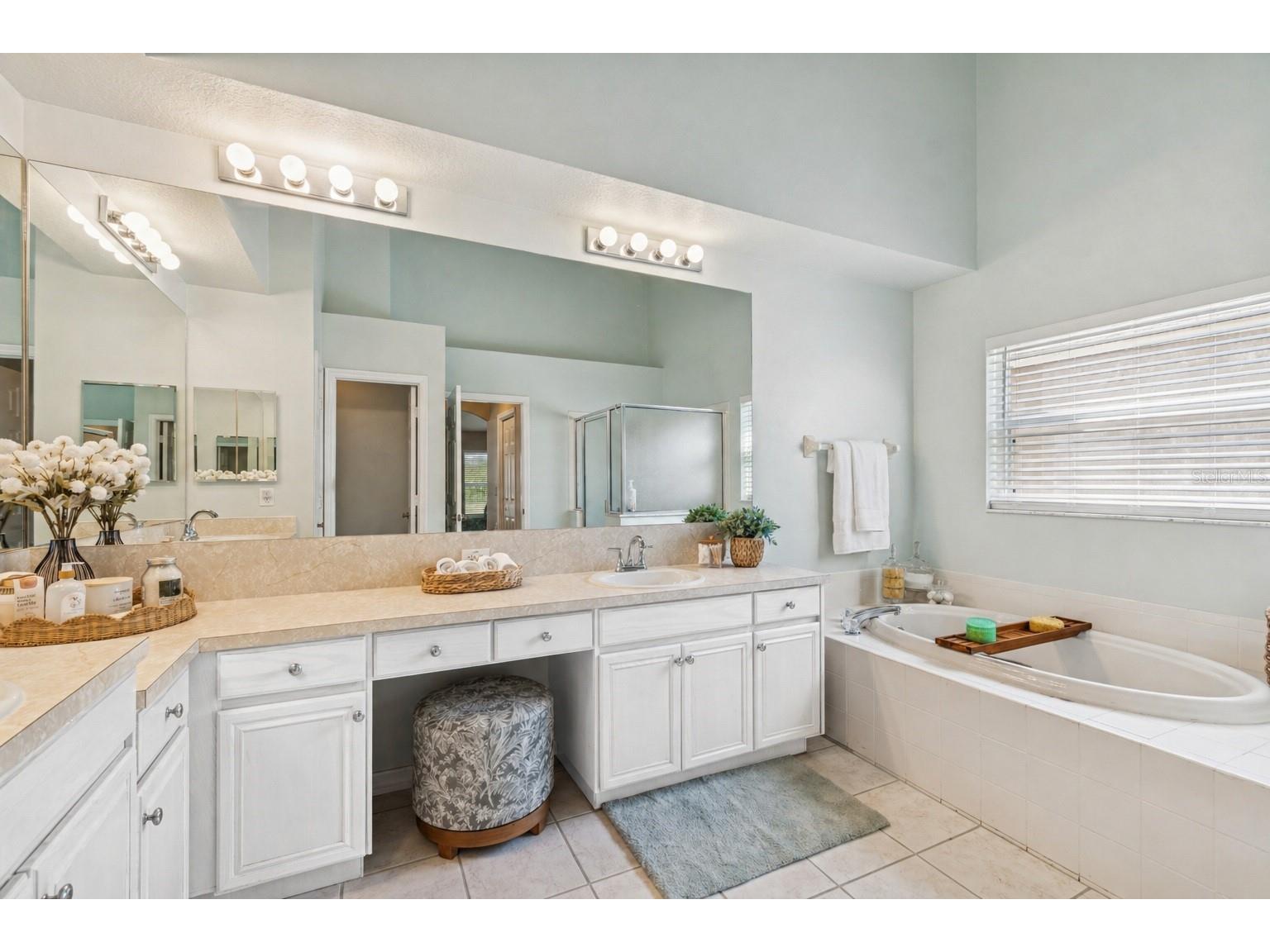 10122 Whisper Pointe Drive Tampa FL 33647 TB8469618 image48