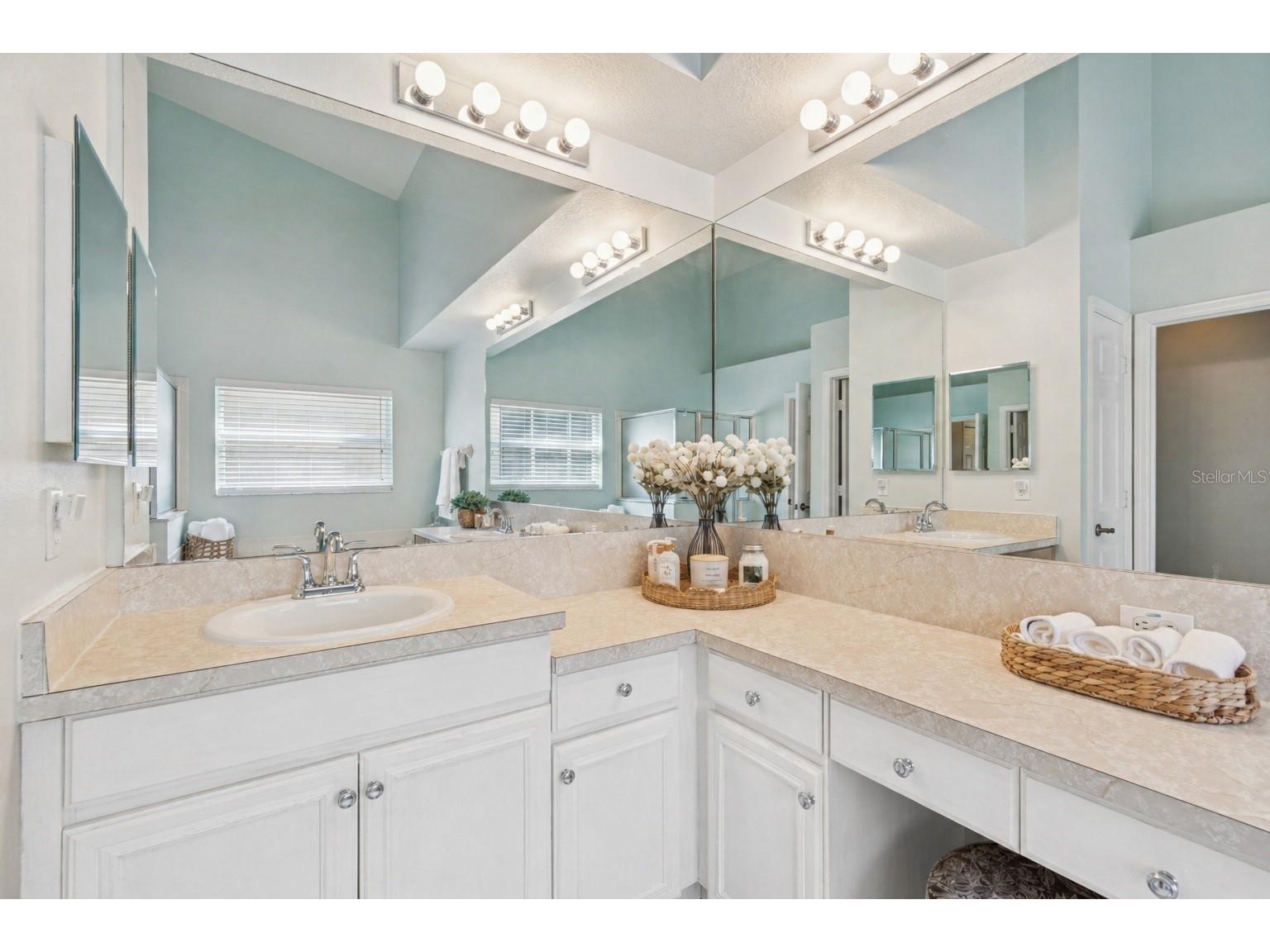 10122 Whisper Pointe Drive Tampa FL 33647 TB8469618 image49