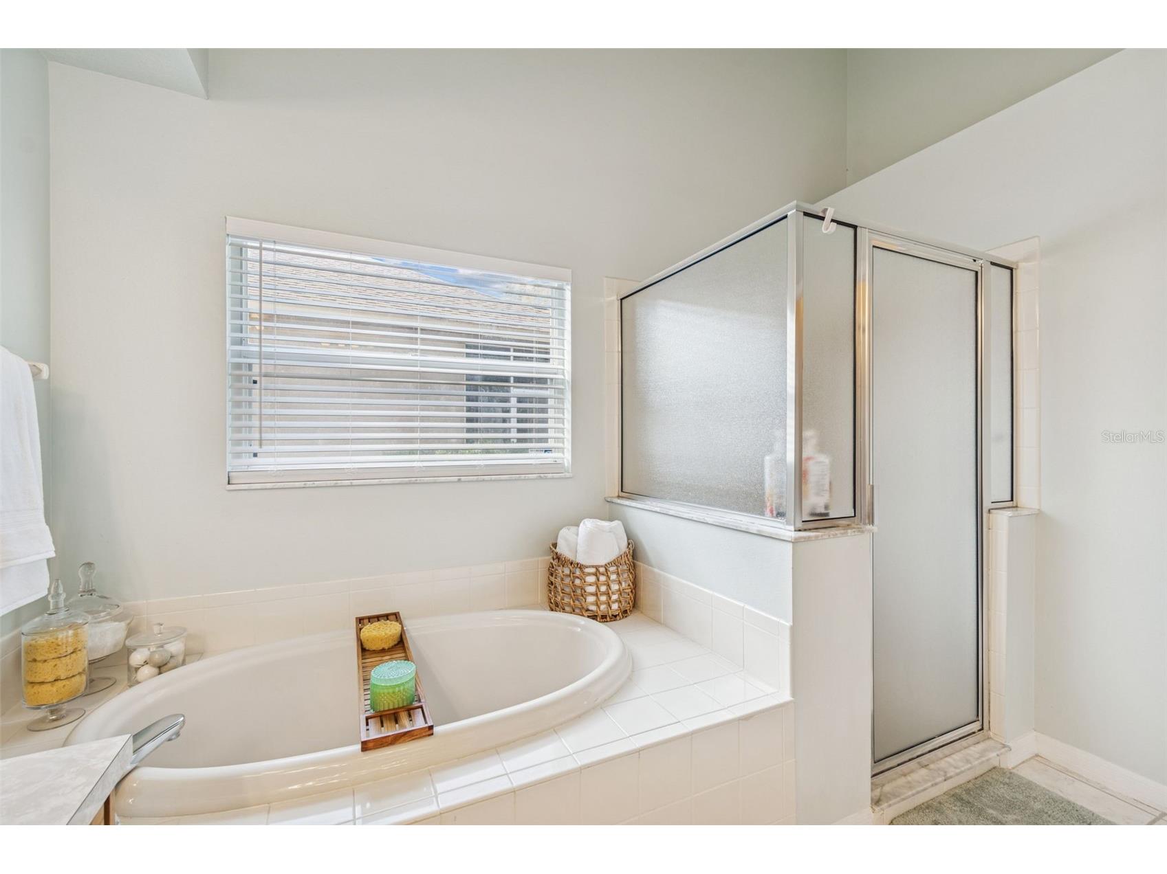 10122 Whisper Pointe Drive Tampa FL 33647 TB8469618 image50