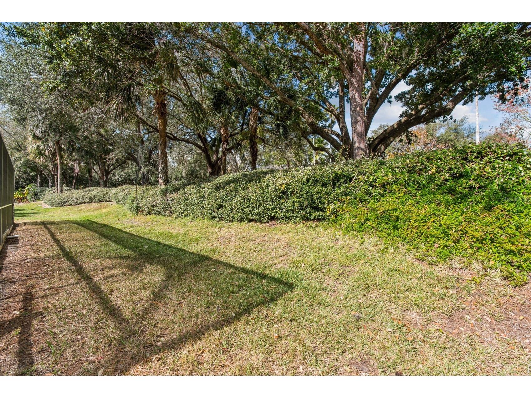 10122 Whisper Pointe Drive Tampa FL 33647 TB8469618 image67