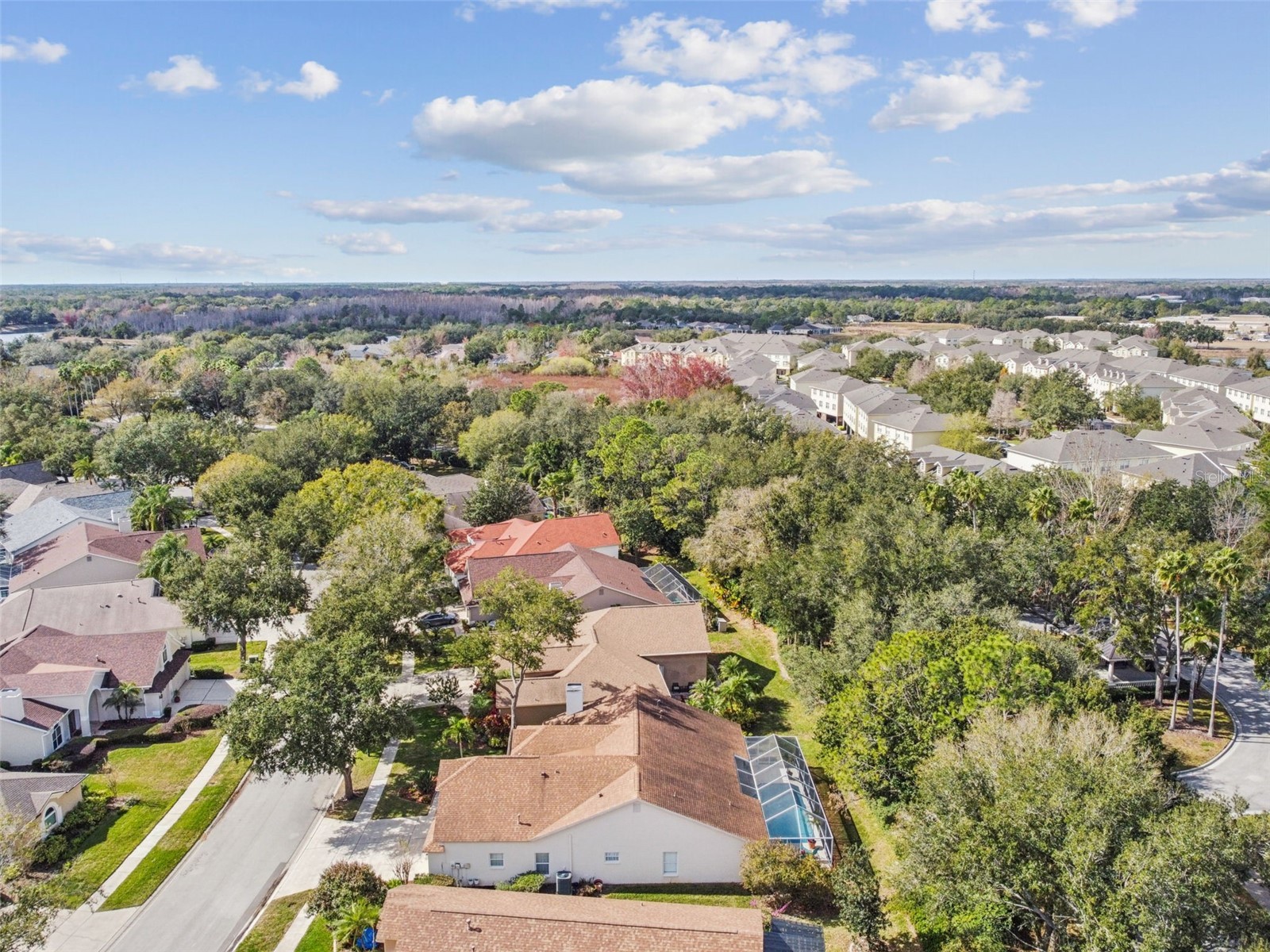 10122 Whisper Pointe Drive Tampa FL 33647 TB8469618 image74