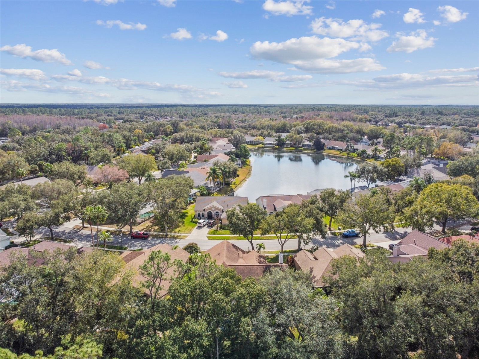 10122 Whisper Pointe Drive Tampa FL 33647 TB8469618 image75