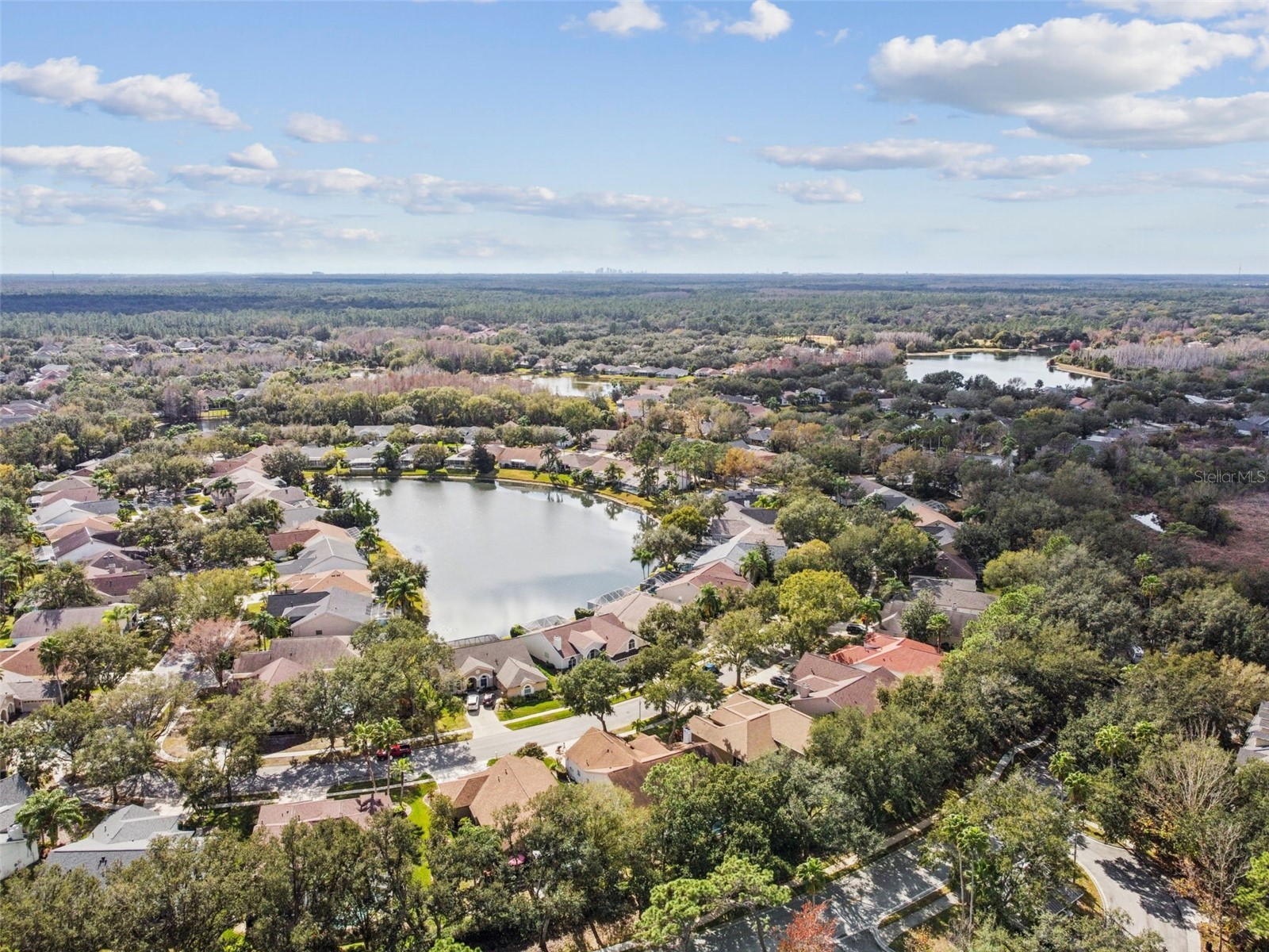 10122 Whisper Pointe Drive Tampa FL 33647 TB8469618 image76