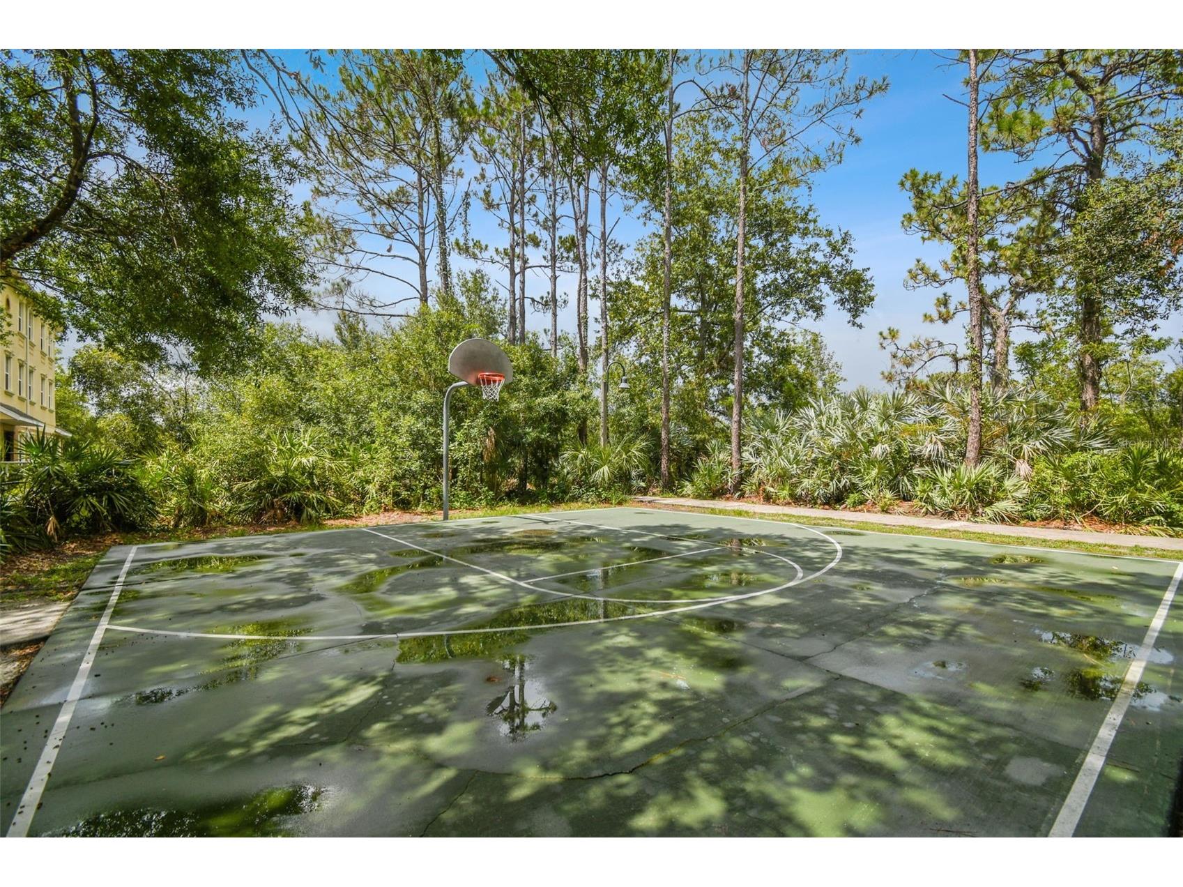 10122 Whisper Pointe Drive Tampa FL 33647 TB8469618 image90