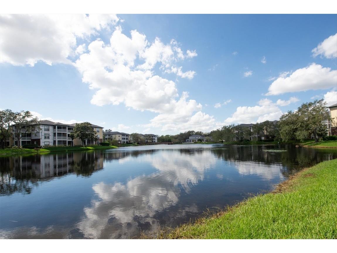 10122 Winsford Oak Boulevard #403 Tampa FL 33624 TB8315015 image1