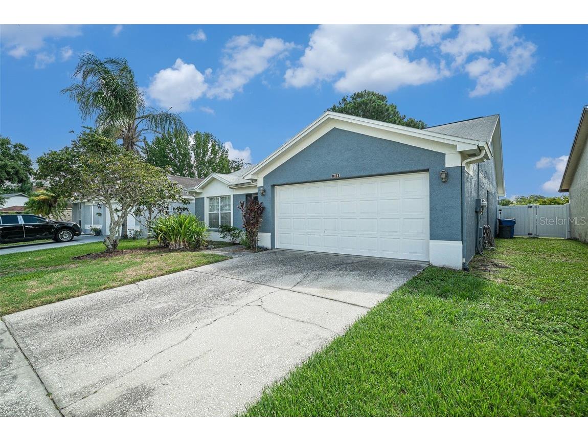 10123 Cedar Dune Drive Tampa FL 33624 T3535909 image1