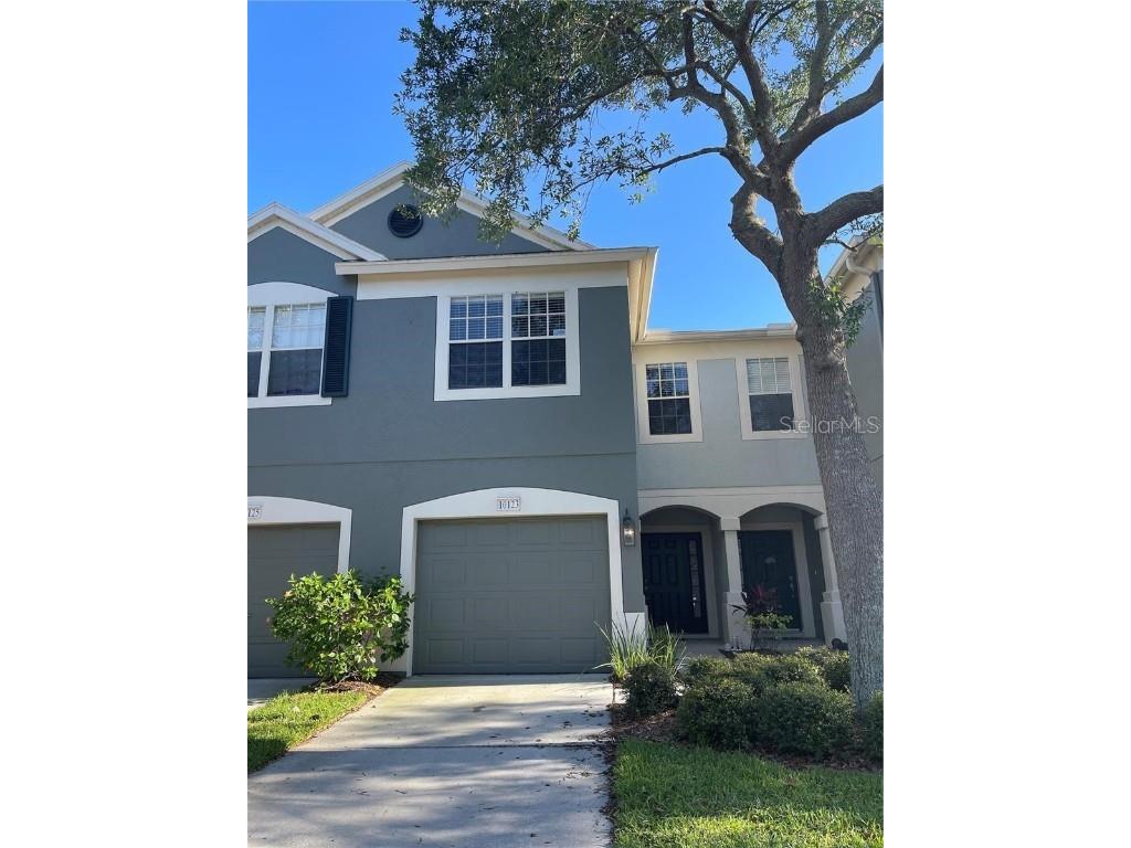 10123 Haverhill Ridge Drive Riverview FL 33578 T3457254 image1