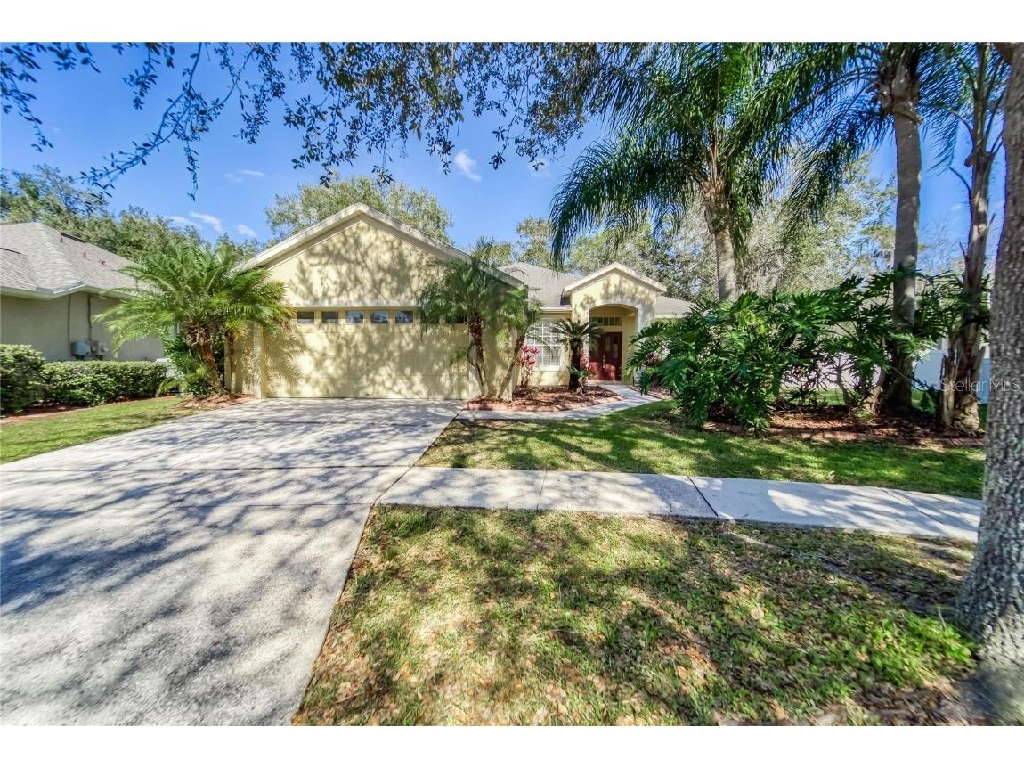 10124 Cannon Drive Riverview FL 33578 T3351049 image1