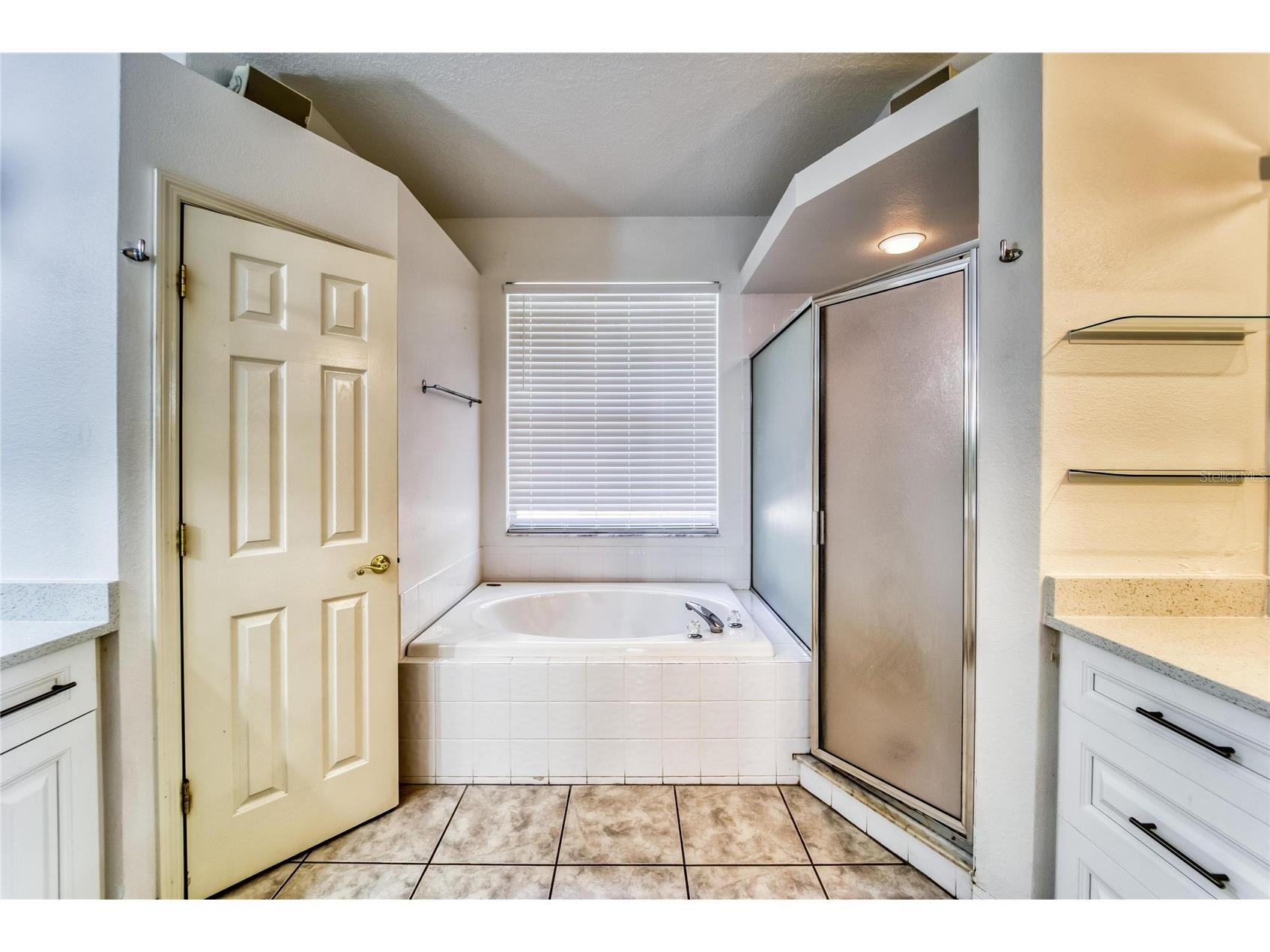 10124 Cannon Drive Riverview FL 33578 TB8499619 image21