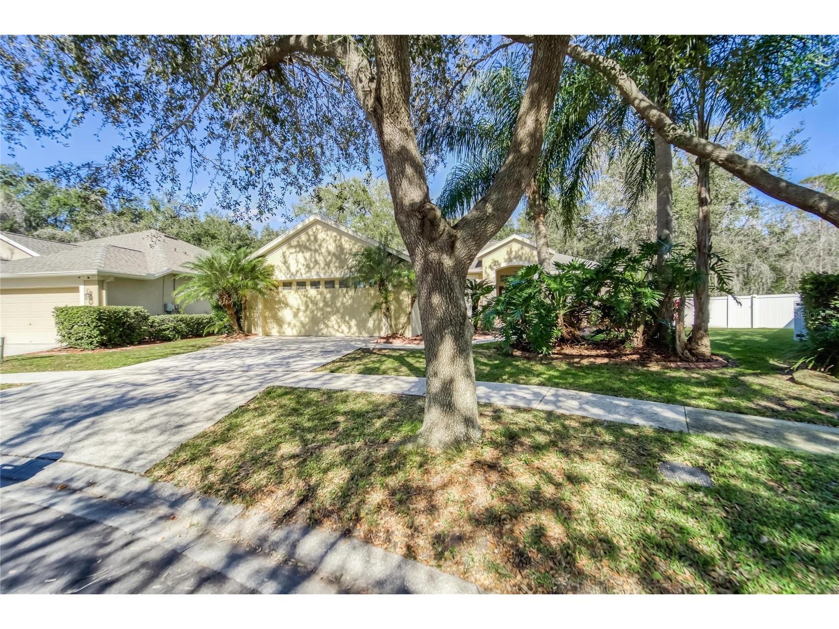 10124 Cannon Drive Riverview FL 33578 TB8499619 image3
