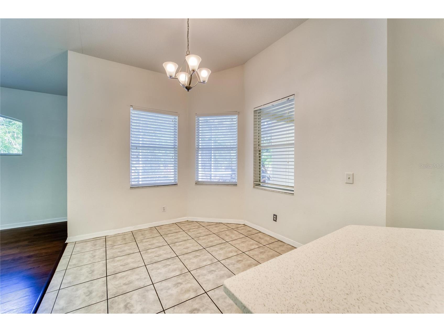 10124 Cannon Drive Riverview FL 33578 TB8499619 image30