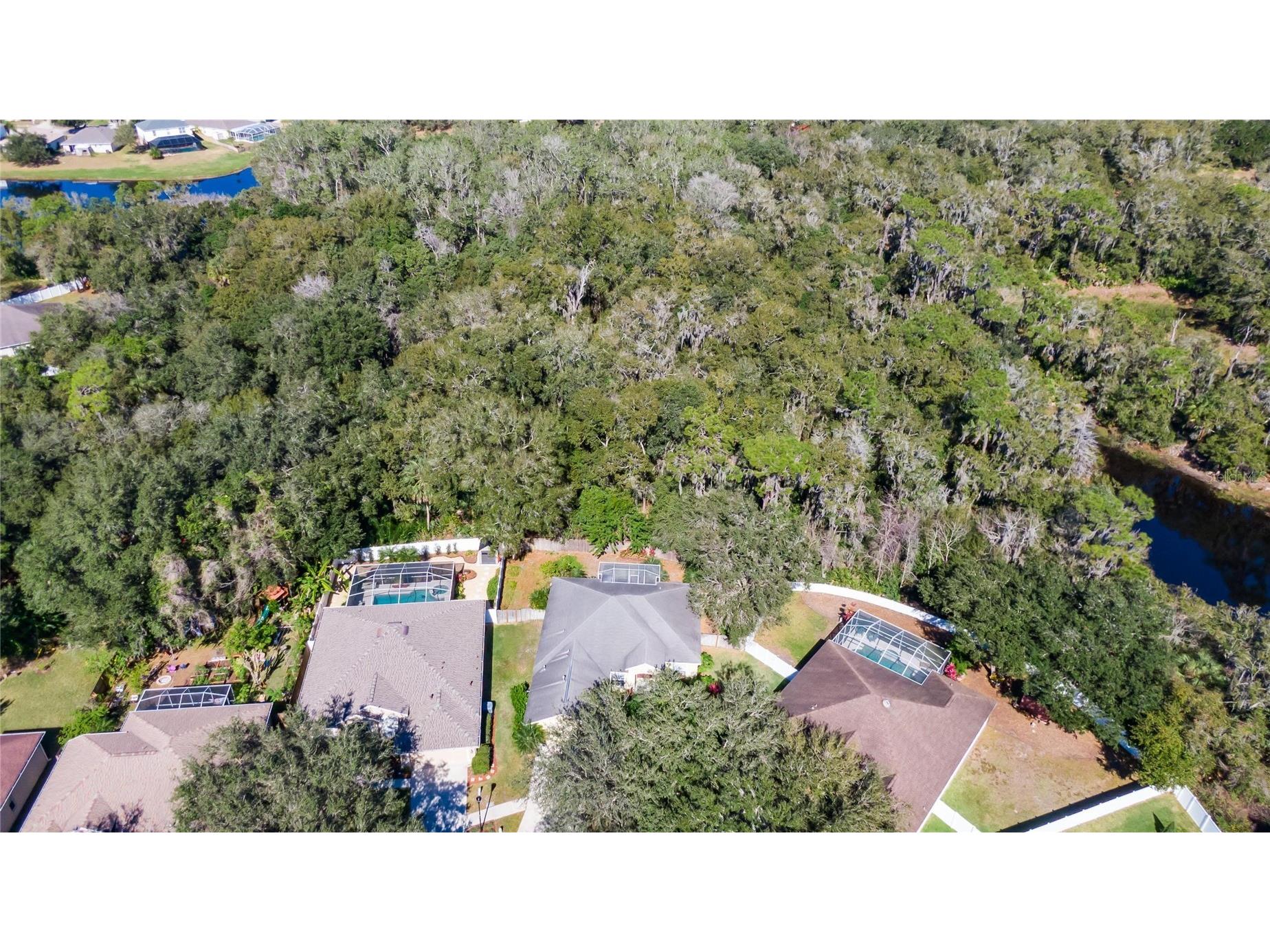 10124 Cannon Drive Riverview FL 33578 TB8499619 image46