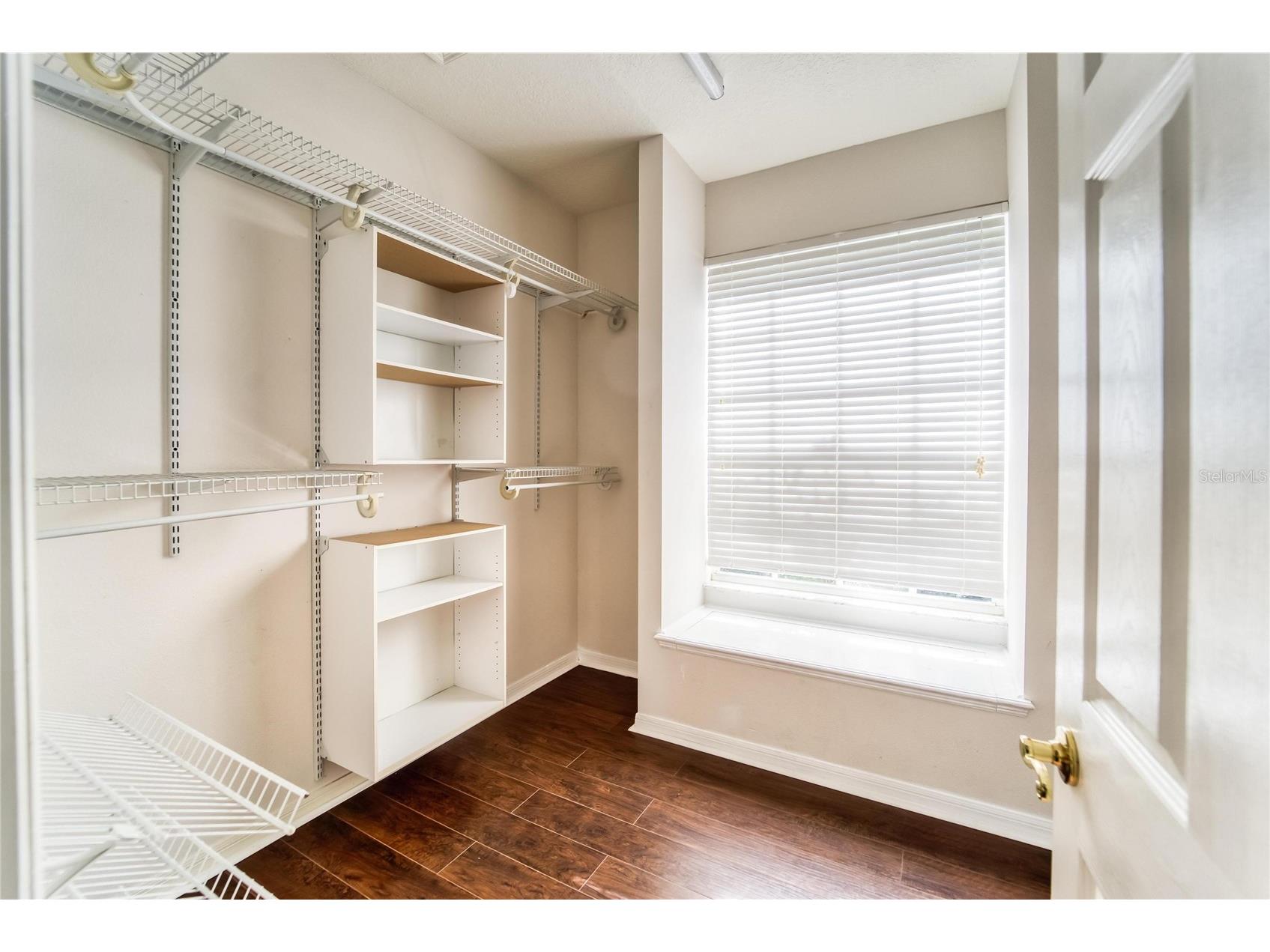 10124 Cannon Drive Riverview FL 33578 TB8499619 image55