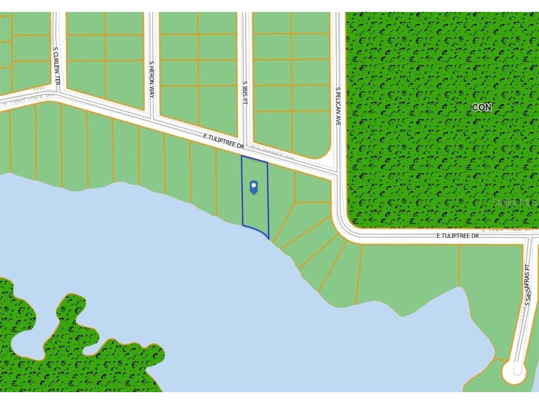 10124 E Tulip Tree Drive Inverness FL 34450 O6342005 image1