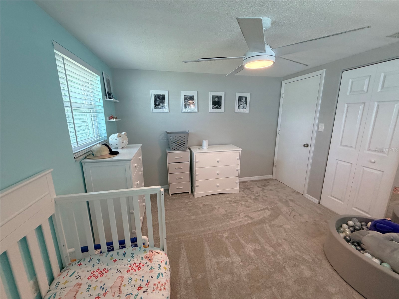 10124 Holly Drive Port Richey FL 34668 TB8525950 image19