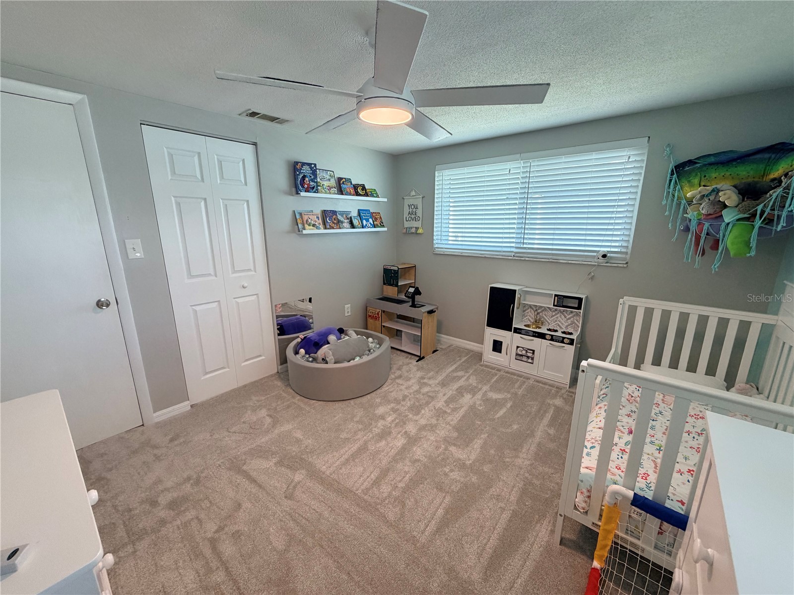 10124 Holly Drive Port Richey FL 34668 TB8525950 image21