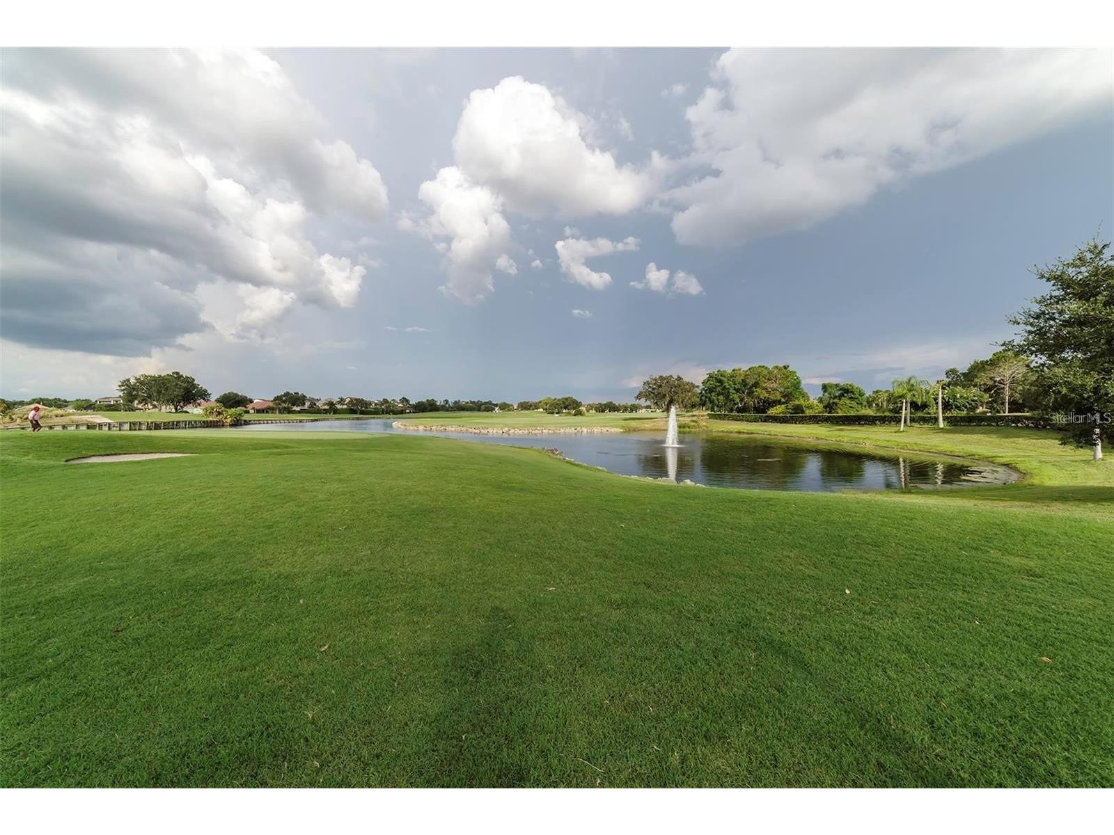 10124 Malpas Point Orlando FL 32832 O6413645 image31