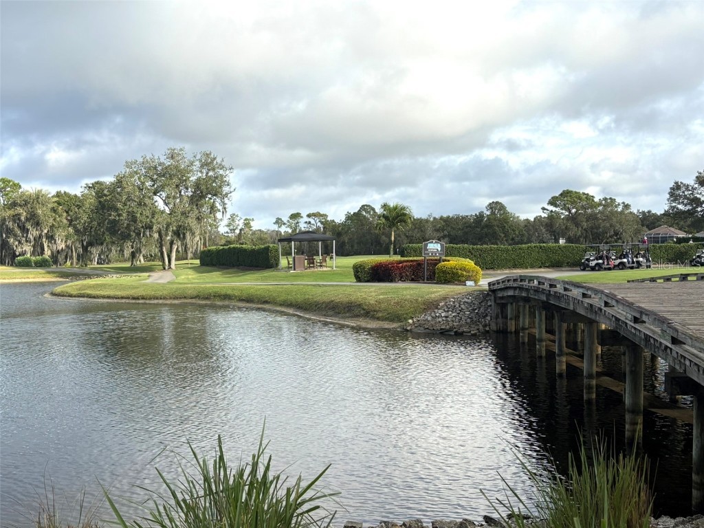 10124 Marbella Drive Bradenton FL 34211 A4665396 image54