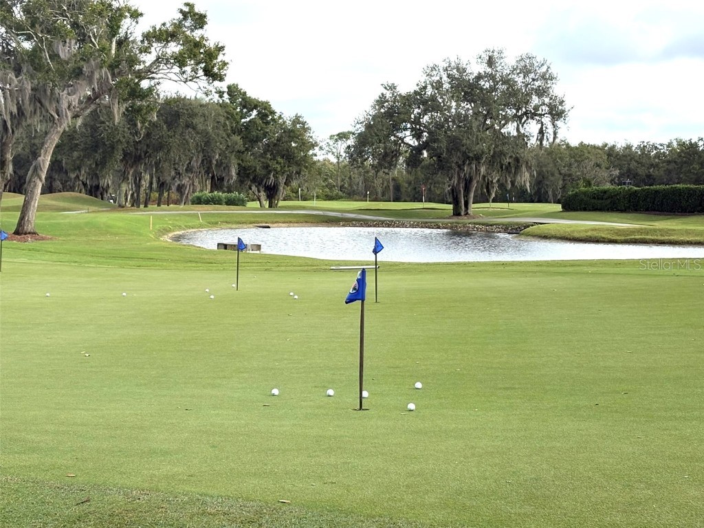 10124 Marbella Drive Bradenton FL 34211 A4665396 image56