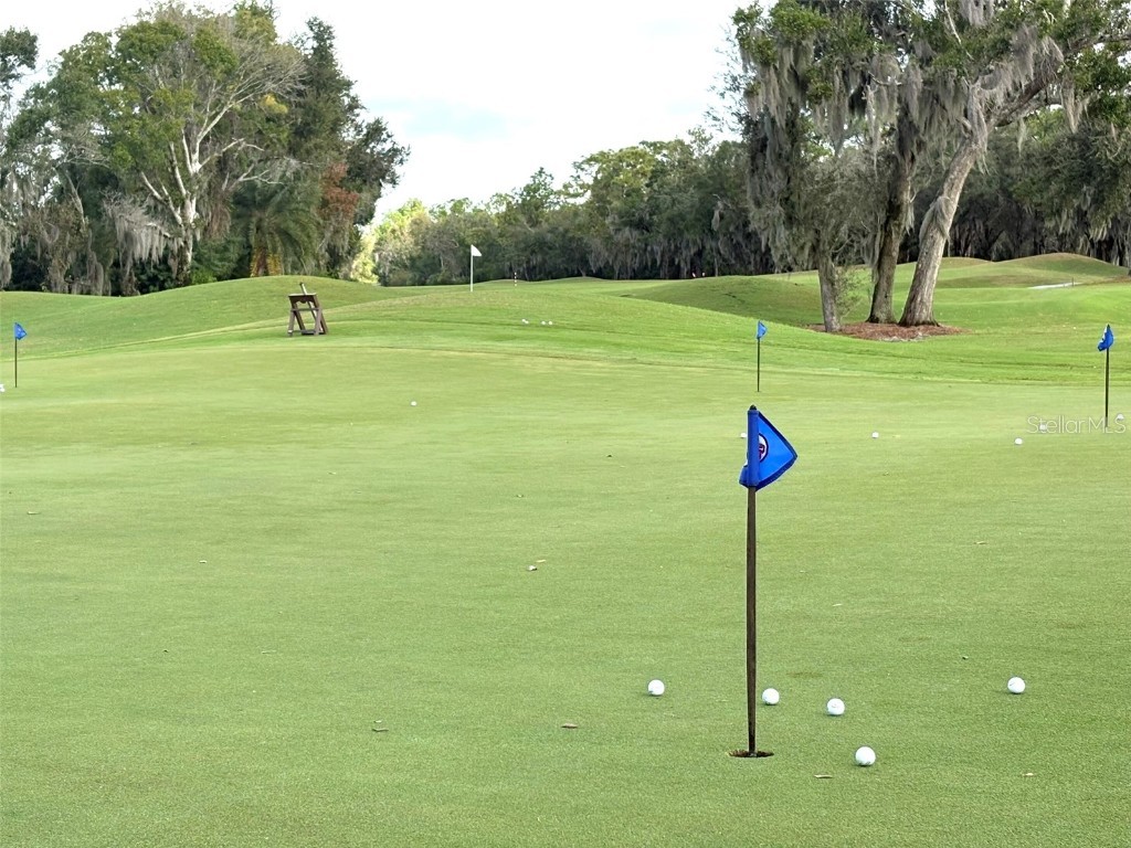 10124 Marbella Drive Bradenton FL 34211 A4665396 image57