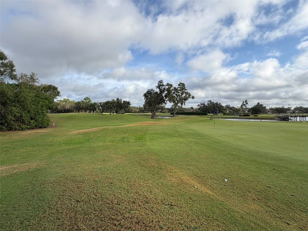 10124 Marbella Drive Bradenton FL 34211 A4665396 image58